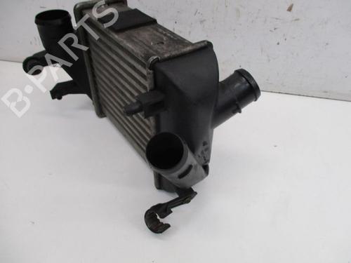 Intercooler AUDI A4 B6 Avant (8E5) 2.5 TDI | BP37122459M30 - Image 4