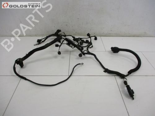 Used Wiring harness SKODA FABIA II (542) 1.2 (60 hp) 18759583
