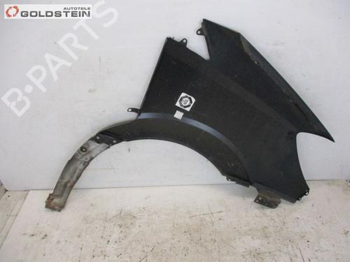 Left front fenders MERCEDES-BENZ SPRINTER 3,5-t Van (B906) 313 CDI (906.631, 906.633, 906.635, 906.637) | BP18757166C41 