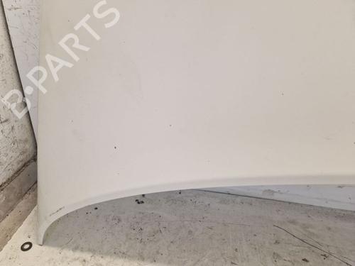 Hood VW TRANSPORTER T5 Bus (7HB, 7HJ, 7EB, 7EJ) 2.5 TDI | BP29107290C1 