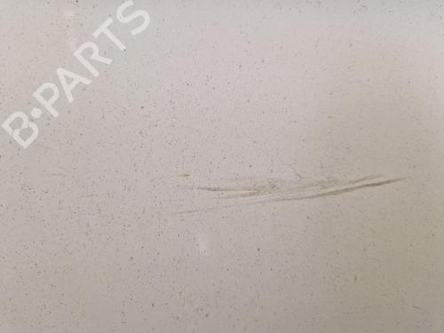 Right front door RENAULT TRAFIC II Van (FL) 2.0 dCi 115 (FL01, FL0U, FL00, FL0H, FL0M) | BP29101638C3 