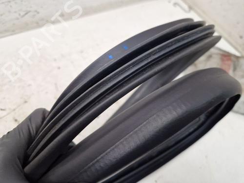 Rubber door seal RENAULT ZOE (BFM_) ZOE (BFMD) | BP29105866C142 