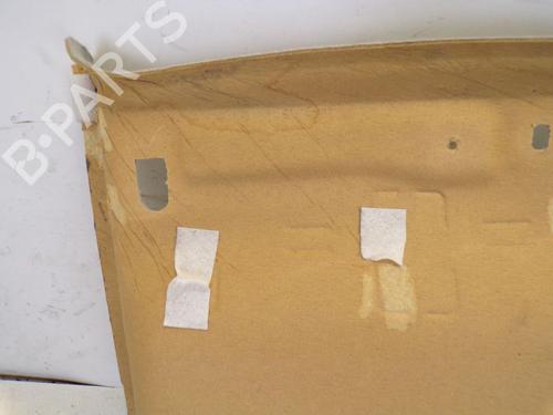 Interior roof DACIA DOKKER Box Body/MPV 1.6 | BP29100147I12 
