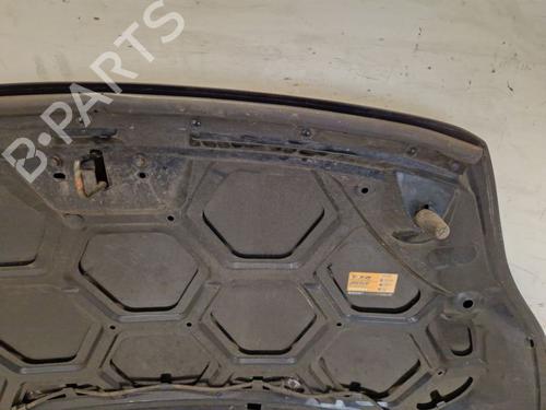 Hood FORD FIESTA VI (CB1, CCN) 1.6 Ti | BP29108152C1 