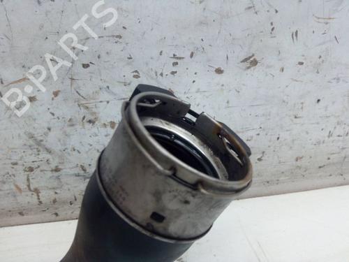 Pipe DACIA DOKKER Express Box Body/MPV 1.2 TCe 115 (FEAY) | BP27985197M125 