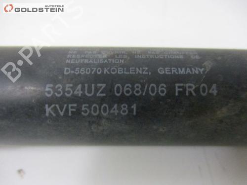 Tailgate lift support LAND ROVER RANGE ROVER SPORT I (L320) 2.7 D 4x4 | BP18760879C138 
