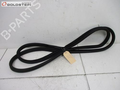 Gummiliste Gummiliste HYUNDAI SANTA FÉ II (CM) 2.2 CRDi (197 hp) 18789011 18789011