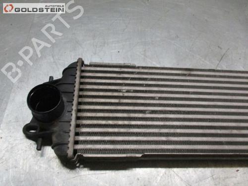 Intercooler NISSAN PRIMASTAR Bus (X83) dCi 80 | BP37094852M30 - Image 2
