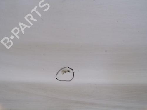 Right rear door FORD TRANSIT CONNECT (P65_, P70_, P80_) 1.8 Di | BP29085061C5 