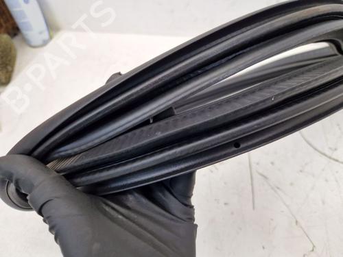 Rubber door seal BMW X5 (G05, F95) xDrive 40 i Mild-Hybrid | BP29108994C142 