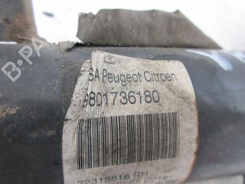 Right front shock absorber CITROËN C3 II (SC_) 1.0 VTi 68 | BP38027643M17 - Image 8