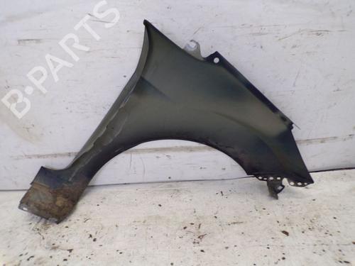 Left front fenders FORD FIESTA VI (CB1, CCN) 1.25 | BP19297525C41 