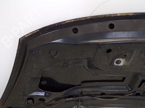 Hood FIAT DOBLO Cargo (263_) 1.3 D Multijet | BP29094667C1 