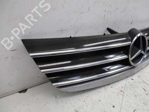 Grille MERCEDES-BENZ A-CLASS (W169) A 200 CDI (169.008, 169.308) | BP29086869C40 