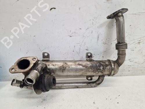 Egr VW PASSAT B6 Variant (3C5) 1.9 TDI (105 hp) 25725118