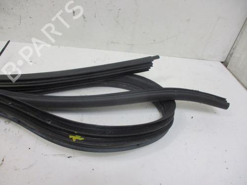 Gummiliste DACIA SANDERO 1.2 16V | BP18798681C142 - Image 3