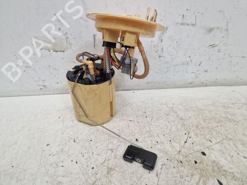 Used Fuel pump AUDI A5 Sportback (8TA) 3.0 TDI quattro (245 hp) 29100602