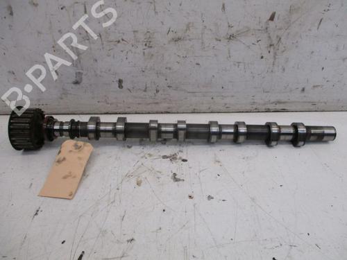 Used Other NISSAN INTERSTAR Van (X70) dCi 100 (99 hp) 29090751