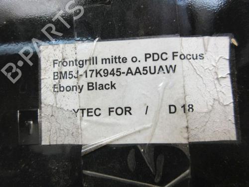 Grille FORD FOCUS III 1.6 EcoBoost | BP29087141C40 