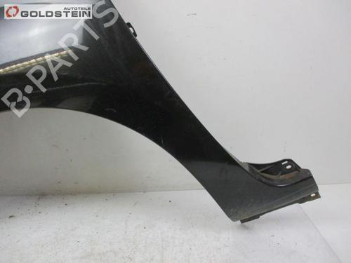 Left front fenders RENAULT KANGOO / GRAND KANGOO II (KW0/1_) 1.5 dCi 105 (KW0F) | BP18752312C41 