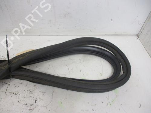 Rubber door seal VOLVO V70 III (135) 2.4 D | BP18795929C142 