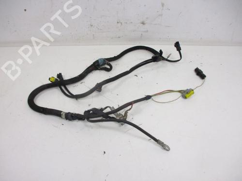 Used Wiring harness CITROËN C4 Grand Picasso I (UA_) 2.0 HDi 138 (136 hp) 18794307