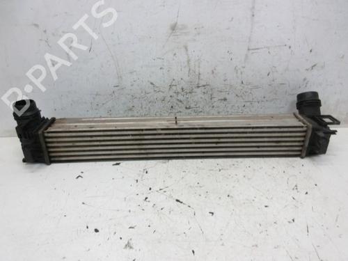 Intercooler RENAULT MEGANE III Hatchback (BZ0/1_, B3_) 1.5 dCi (86 hp) 29093499
