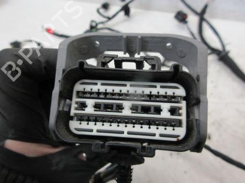 Wiring harness FORD FIESTA VII (HJ, HF) 1.5 ST EcoBoost | BP29098411E16 