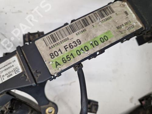 Wiring harness MERCEDES-BENZ VITO Bus (W639) 110 CDI (639.701, 639.703, 639.705) | BP29171324E16 