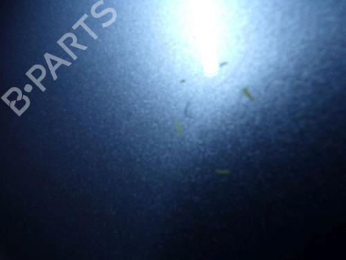 Left front door MAZDA 5 (CR) 2.0 CD (CR19) | BP29091301C2 