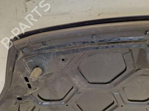 Hood FORD FIESTA VI (CB1, CCN) 1.6 Ti | BP29108152C1 