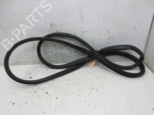 Used Rubber door seal PEUGEOT 207 (WA_, WC_) 1.6 16V VTi (120 hp) 29093663