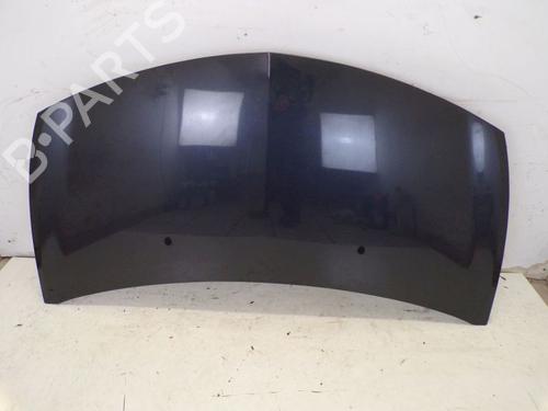 Used Hood RENAULT CLIO III (BR0/1, CR0/1) 1.6 16V (BR09, BR0T, CR09, CR0T) (88 hp) 29098067