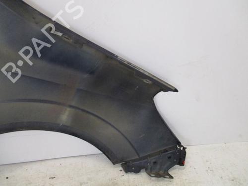 Left front fenders OPEL ZAFIRA / ZAFIRA FAMILY B (A05) 1.9 CDTI (M75) | BP18800829C41 