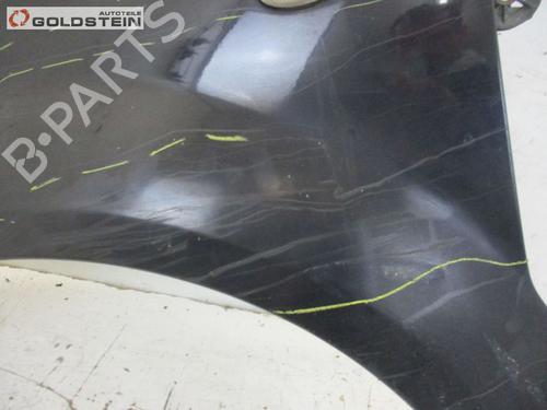 Guarda-lamas esquerdo CITROËN C2 (JM_) 1.4 HDi | BP18762882C41