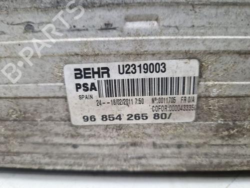 Intercooler CITROËN DS3 (SA_) 1.6 THP 150 | BP38029022M30 - Image 8