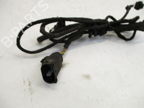 Wiring harness MERCEDES-BENZ A-CLASS (W169) A 160 CDI (169.006, 169.306) | BP19291083E16 