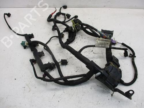 Ledningsnet FORD FIESTA VI (CB1, CCN) 1.25 (82 hp) 25826182