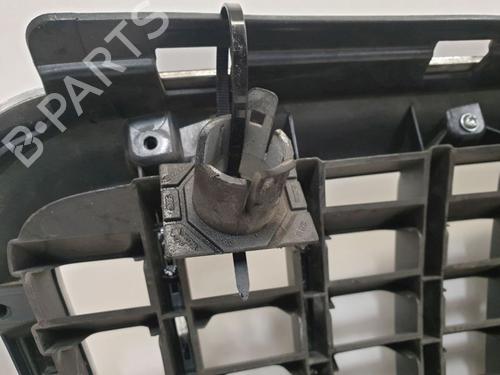 Grill AUDI A8 D3 (4E2, 4E8) 4.2 TDI quattro | BP34738444C40 - Image 8