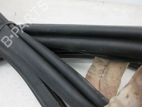 Rubber door seal RENAULT GRAND SCÉNIC III (JZ0/1_) 1.4 16V (JZ0F) | BP29094704C142 