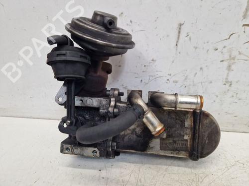 Used Egr AUDI A4 B7 Avant (8ED) 2.7 TDI (180 hp) 29100801