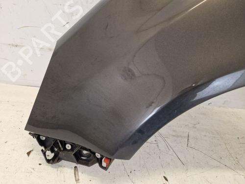 Left front fenders OPEL CORSA D (S07) 1.4 (L08, L68) | BP29101554C41 