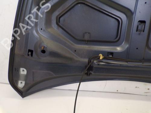 Hood RENAULT CLIO IV (BH_) 1.2 TCe 120 (BHM0) | BP29083665C1 