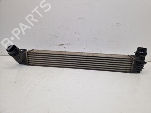 Used Intercooler Intercooler RENAULT SCÉNIC III (JZ0/1_) 1.2 TCe (JZ16) (132 hp) 40001031 40001031
