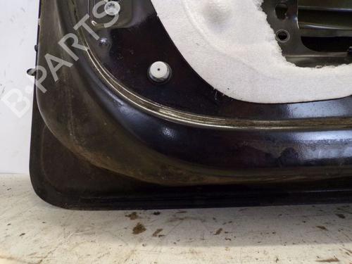 Right front door RENAULT CLIO III (BR0/1, CR0/1) 1.2 16V (BR02, BR0J, BR11, CR02, CR0J, CR11) | BP19495805C3 