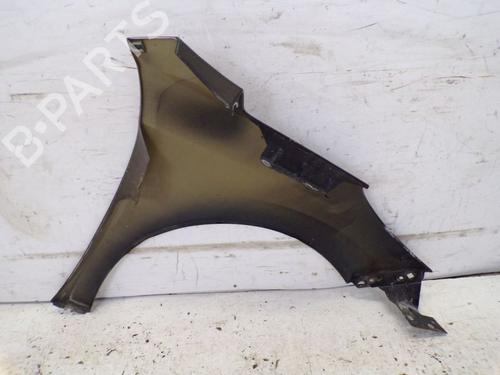 Left front fenders PEUGEOT 207 (WA_, WC_) 1.6 16V VTi | BP19298497C41 