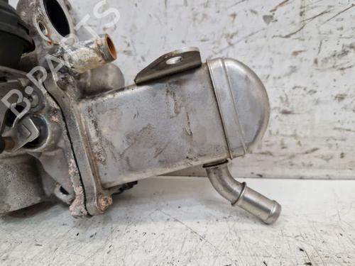 Egr RENAULT GRAND SCÉNIC III (JZ0/1_) 1.9 dCi (JZ0J, JZ0N, JZ1K, JZ1S) | BP29107700M69 