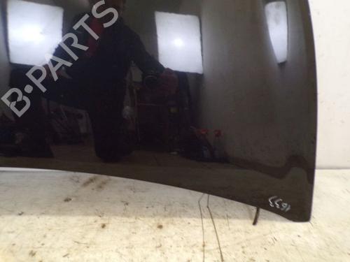 Hood RENAULT CLIO III (BR0/1, CR0/1) 1.2 16V (BR02, BR0J, BR11, CR02, CR0J, CR11) | BP29085813C1 