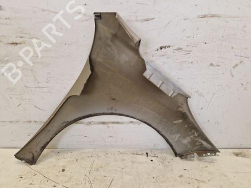 Left front fenders PEUGEOT 207 (WA_, WC_) 1.4 16V | BP24533641C41 