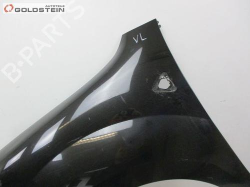 Left front fenders RENAULT KANGOO / GRAND KANGOO II (KW0/1_) 1.5 dCi 105 (KW0F) | BP18752312C41 